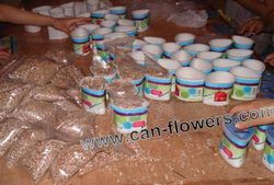 produzione di fiori in lattina