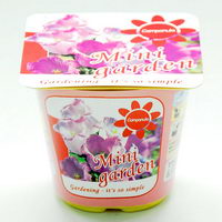fiori mini vaso fiori mini vaso