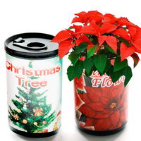 regalo fiore in vaso regalo fiore in vaso