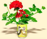fiore latta fiore latta