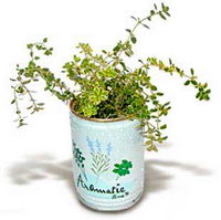 fiori in lattina all'ingrosso fiori in lattina all'ingrosso