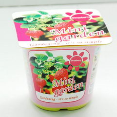 mini pet plants