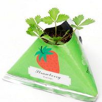 frutta pianta in un sacchetto frutta pianta in un sacchetto