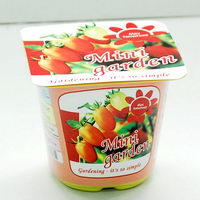 mini frutta mini frutta